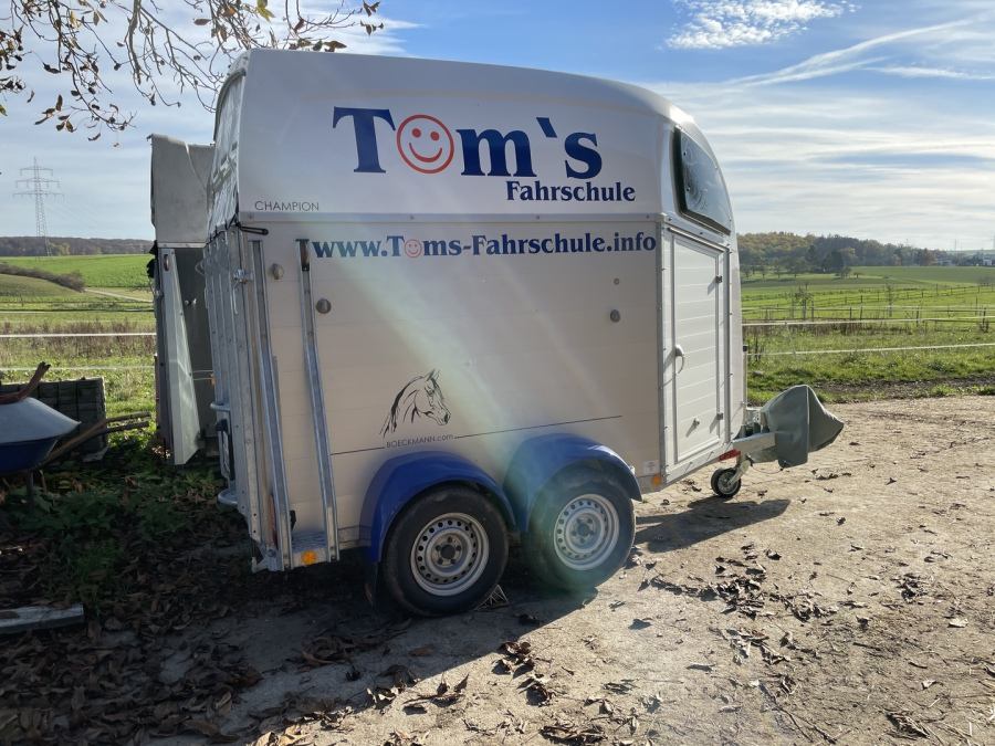 Pferdeanhänger mit dem Logo von Tom's Fahrschule auf einer Wiese